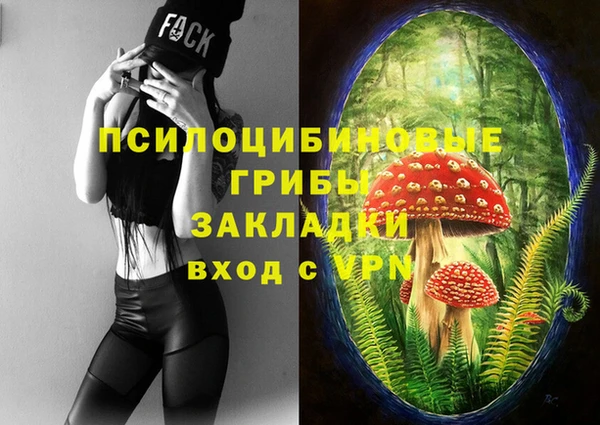 mdpv Беломорск