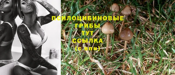 метамфетамин Белокуриха